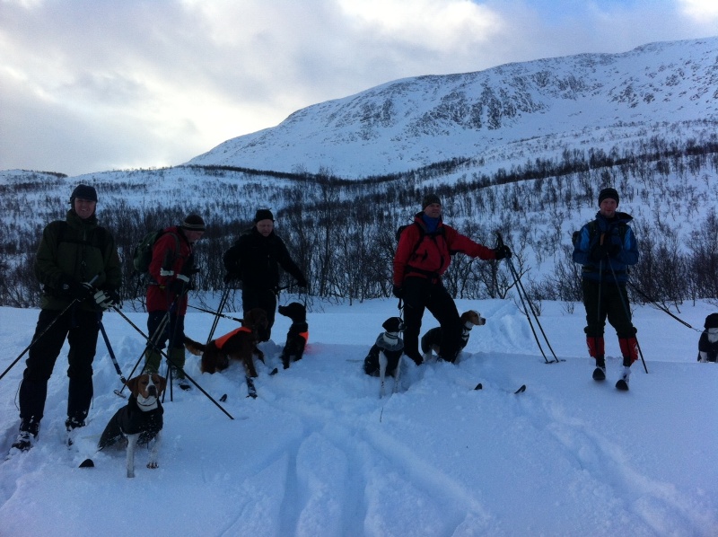 UK/AK parti i Botnham på Senja