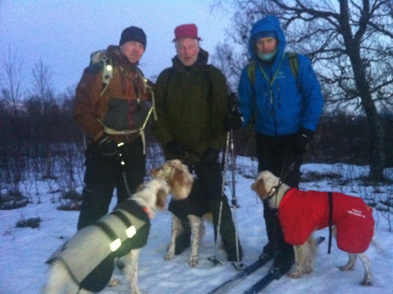 Nr 1. 51p, Engelsksetterlaget: Øystein og Achilles, Viktor og Mikkel, Torgeir og Lady