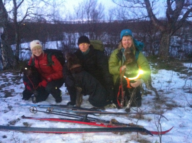 Nr 2. 42p, Korthårvorstehlaget: Ingebjørg og Tilde, Bård og Bertil, Anne-Maj og Inka