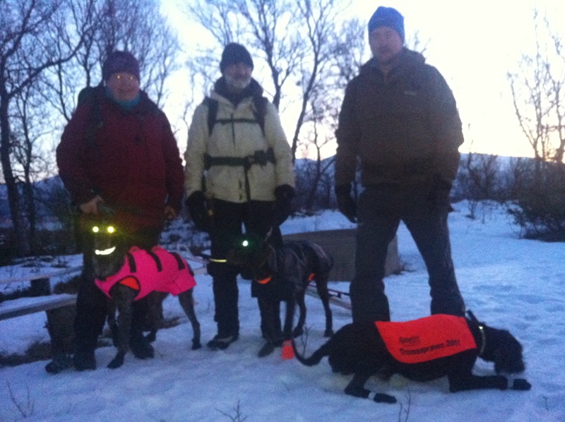 Nr 3. 36p, Strihårvorstehlaget: Magnhild og Tundra, Torgeir og Maile, Rune og Sway