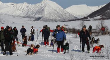 Velkommen til Vesterålen