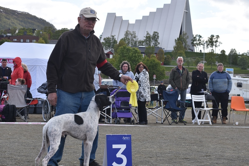 Per Anton Berg og Franchannas Pointer Anthony